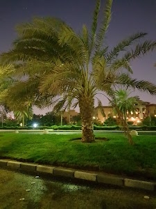 Shaab