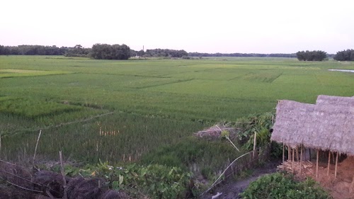 Bilasi