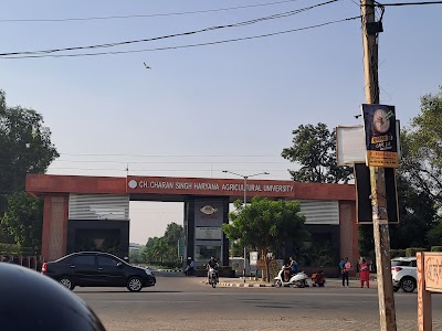 Haryana Agricultural University