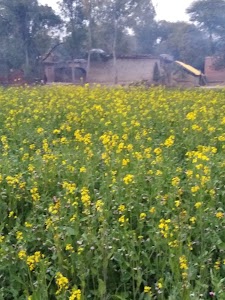 Bela Khara