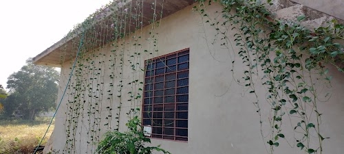 Rooppura Udalvas