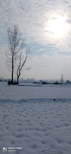 Mujgund zameen