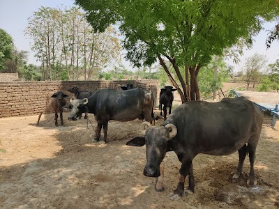 Jat fort