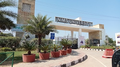 NIMS University