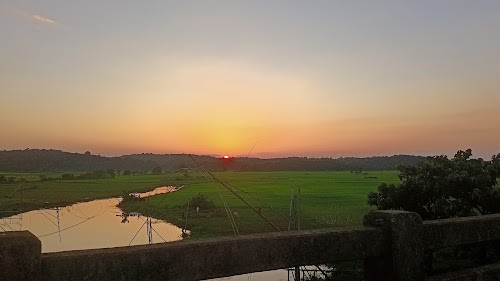 Holdibari