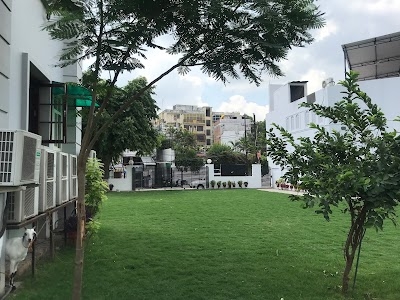 Lalbagh lawn
