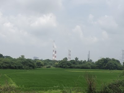NTPC Unchahar IT Department
