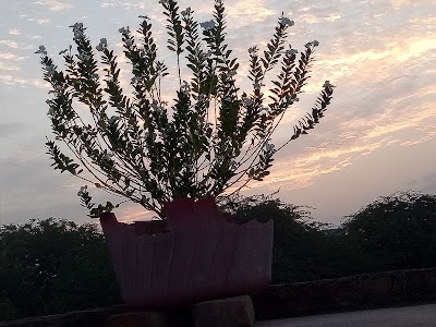 Gurnawat
