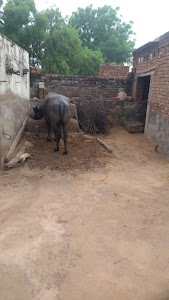 Badal
