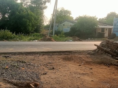 Juna Pani
