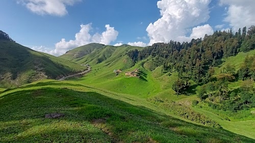 Padri road