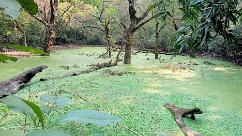 Bethuadahari