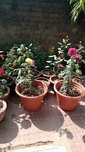 Azad Nagar