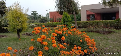 Rosy Blue India Pvt Ltd