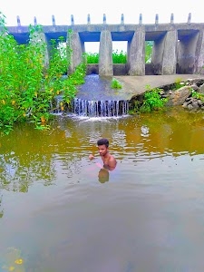Amba Bigha