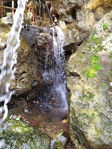 Bhopali