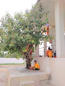 बाणा सत्ती माता पथोपरिया गोत्र पाठेडा