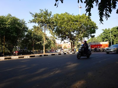 Sector 28