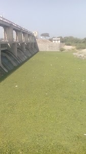 Jaliya