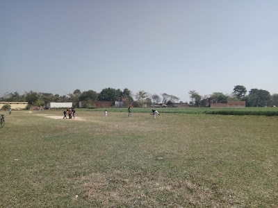 Cricket Pitch