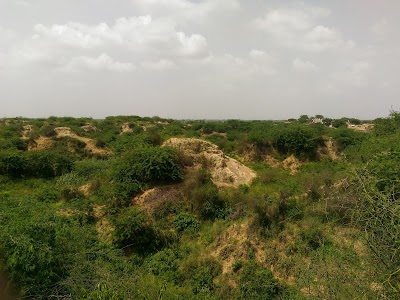 Brahmani Devi Temple
