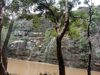 Pali Khera