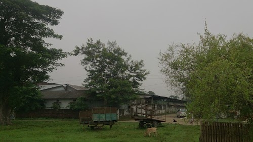 Tirual Bortimon Tea Estate Pvt.Ltd