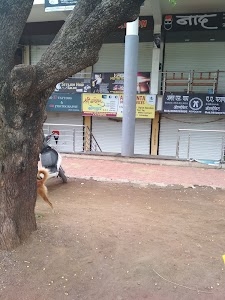 SHREE GANESH COMPUTERS