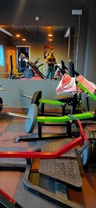 The Lion's Gym