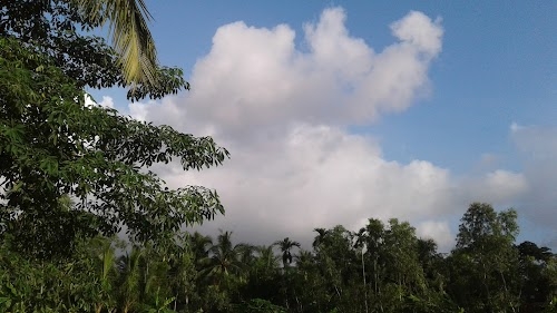 Kripakhali