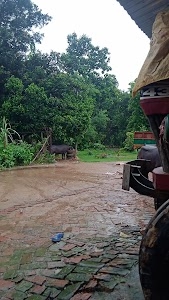 Benipur