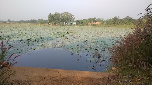 Bausenmura Pond
