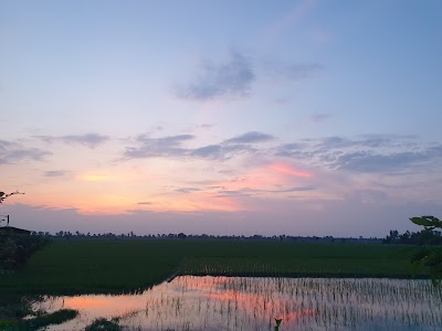 Dehuchi