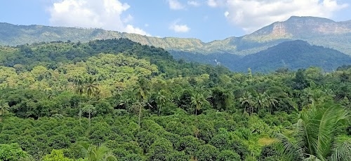 Sarapara