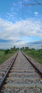 Bhidwari