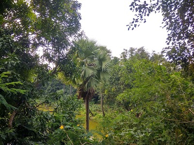 Laskarpur