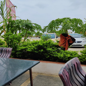 Simar Punjabi family dhaba