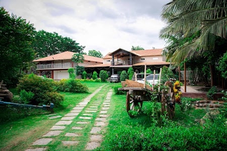 Wild Valley Mountain Bear | Resorts in Ramanagara | Corporate Outings