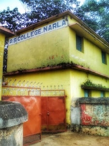 Narla College