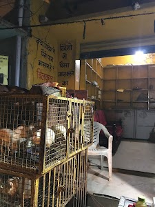 chicken Shop