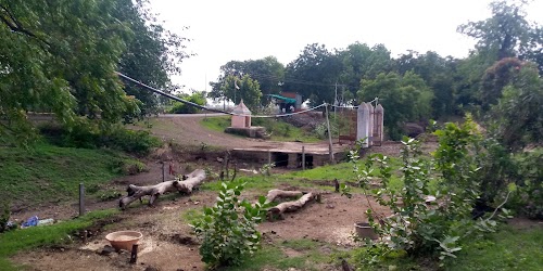 Hanumaan temple