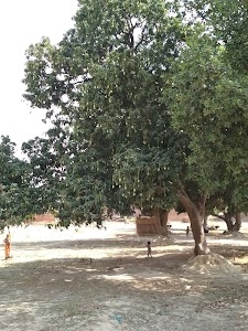 Bakarganj