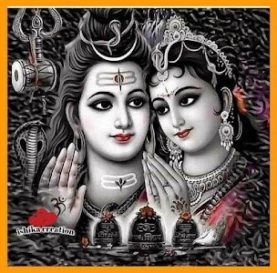 SHIV KIRANA STORE