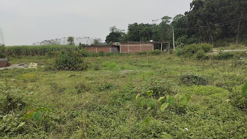 Donkwala