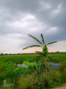 Dubir Bheri