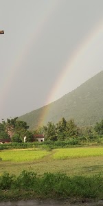 Kokpadar