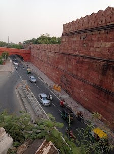 Paldi