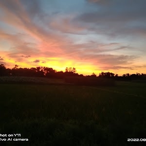 Village saraso