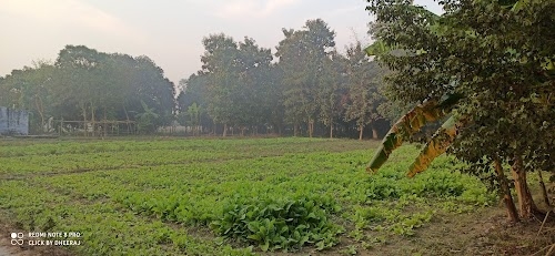 Bhagwanpur Ratti