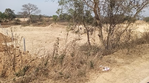 Katapali